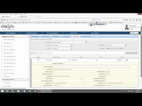 Employee Self Service (New) - Timelabs Professional