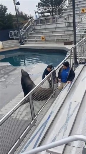 New York Aquarium on Reels