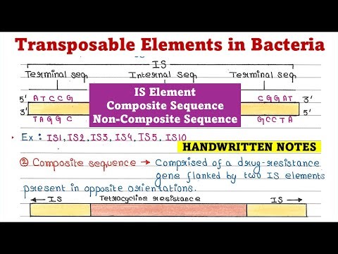 Transposable Elements in Bacteria | IS element | Composite sequence | Non-Composite sequence