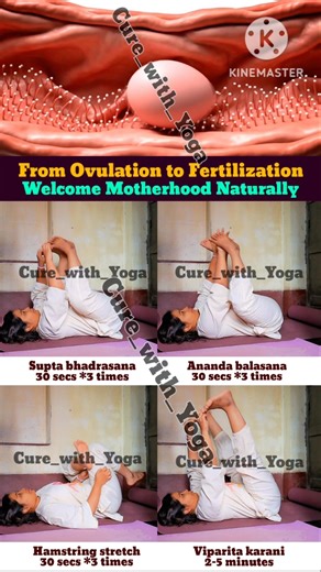 From Ovulation to Fertilization:Yoga to Nurture Your Fertility Journey🌸Boost your Conception Chances