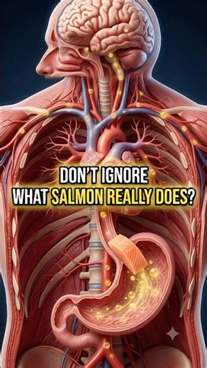 What Happens After Eating Salmon? 🐟 Inside Your Body!
