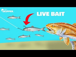 Beach Fishing Technique You’ve NEVER SEEN: Sight Fishing For GIANTS!