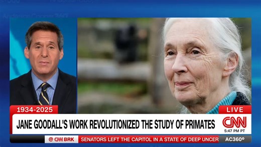 Remembering Jane Goodall, who dedicated her life to helping people understand wild chimpanzees. | Anderson Cooper 360