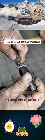 txlzzwah33 on TikTok