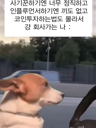 지금 샵만 만들어도 15,000원 쿠폰과 함께 판매 수익 두배까지! 지금 바로 Ginn 샵 ㄱㄱ! 🔗https://www.gvg.co.kr/ginn/create/ 글로벌 패션 플랫폼 GVG STORE. 📌日本送料無料 📌WORLDWIDE SHIPPING 📌Take 15% Off Your First Order on APP ❄Enjoy 30% off on shipping to North America #직장인 #회사원 #투잡 #부수입 #경제적자유 #쇼핑몰 #쇼핑몰창업 #대외활동 #자기소개서 #인턴 #패션md #md