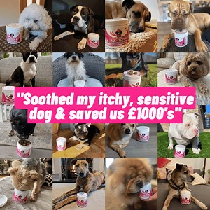 "We had tried 2 different diets to help our dog - a serial paw licker and scratcher. We had him on a popular hypoallergenic one and even tried raw, but they were useless. We got a test done, turns out it had nothing to do with food. The triggers were grass/ tree pollen and certain types of mould!! The vet wanted to put him on tablets but i wasn't keen on them, to be honest. I Googled some alternative supplements for him and saw a few common themes; Turmeric, Apple Cider Vinegar, Colostrum, Omega