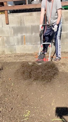 Transforming lawn. Einhell GC-RT