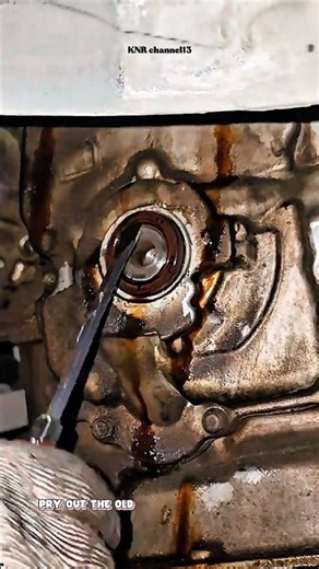 Replacing an Oil Seal and Harmonic Balancer#shorts #satisfying #repairs #mechanic #technique
