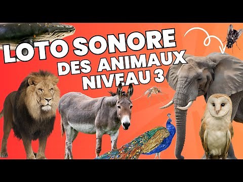 Loto sonore animaux #3