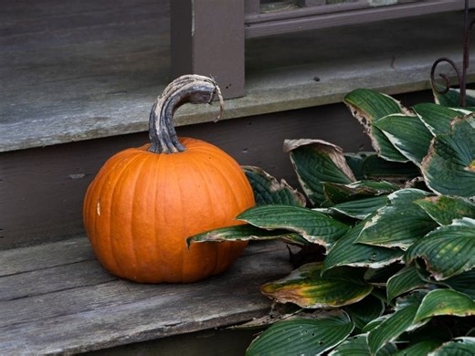 2025 Milford Fall Guide: Food Truck Festival, Car Show And More