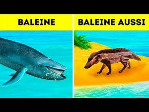 Pourquoi Les Baleines Sont-Elles Devenues Les Plus Grands Animaux de Tous Les Temps ?