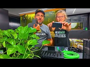 A Better Way to Pull Nitrates Out of Your Aquariums