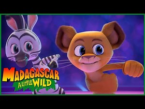 Mr. Bear Song | MADAGASCAR A LITTLE WILD
