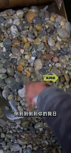 Mysterious Nature Treasure