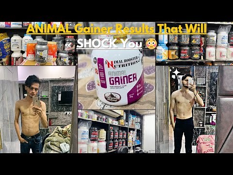 Animal Gainer | Supplements For Muscle Growth | Best Weight Gainer | Animal Gainer Results | Jn_Vlog