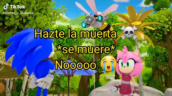 Sonic Boom: Humor y Memes con Amy Rose