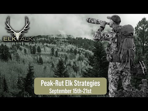 Peak Rut Elk Strategies; September 15-21 | Elk Talk Podcast