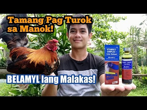 Tamang Pag Turok sa Manok! | Right way to Inject Chicken