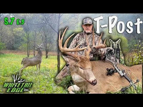 180" Illinois GIANT 6x6 Buck - T-Post