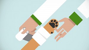 More Than Pet Insurance