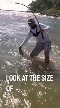Caught a 1000-Pound Sawfish in Florida! 😱🐟 Epic Fishing Moment