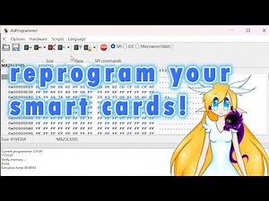 tutorial asprogramer for tamagotchi smart cards