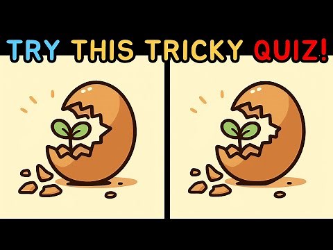 Spot The Difference: Daily Brain Workout—Can You Catch Every Detail? [Find The Difference]