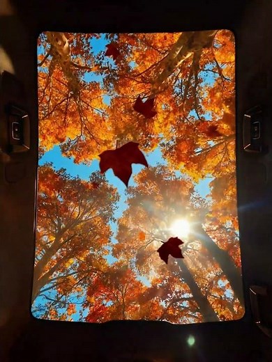 XPENG G9’s sunroof captures every season’s magic