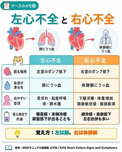 左心不全と右心不全