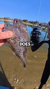 36K views · 7.4K reactions | Big bait big fish? #fish #fyp #fishing #angler #fypシ #fishinglife #saltwaterfishing #fishingaddict #fishing #sharkfishing #fishingtrip #fishingaddict #shorts #outdoors | Catching Cyle | Facebook