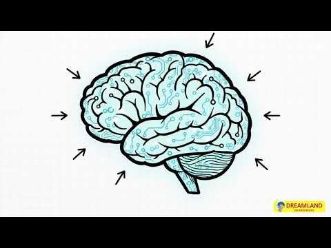 How AI Creates Videos | AI and Robotics | How Things Work | Dreamland Publications