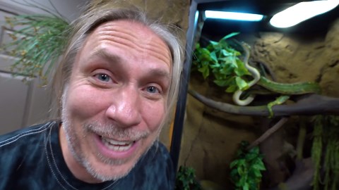 Why Did My Colorful Snake Lay Rotten Eggs? Disaster!