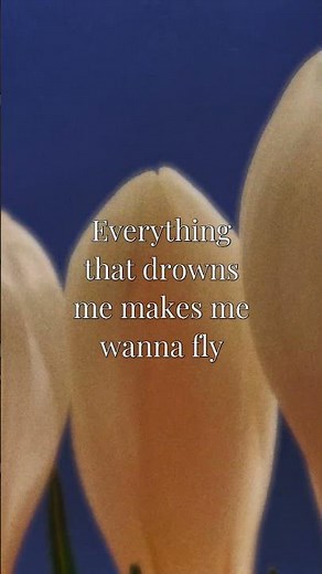 OneRepublic - Counting Stars | Lyrics