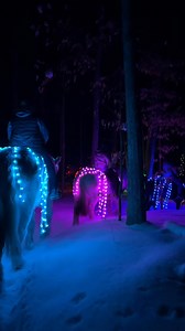 Finished a beautiful glow ride tonight for a fun group of friends! 🐴💕 Questions about our lights, rides, rules, when more times will be posted, etc, PLEASE read our Need to Knows and the FAQ on the glow ride webpage🙂➡️ www.riseandrideranch.com/glow-in-the-dark-rides #horses #winterwonderland #horsebackriding #glowride | Rise & Ride Ranch