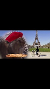 Old but gold 😍 | The Language Learning Center