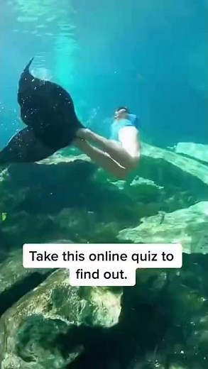 How To Know If You're A Mermaid Quiz. Mermaid Personality Test! Take the mermaid personality test.