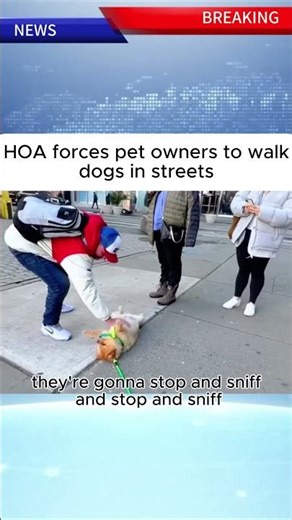 #news #breakingnews #foryou