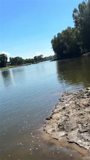 Exploring the Art of Fly Fishing for Catfish