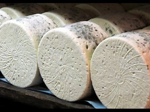 COMO HACER QUESO ROQUEFORT