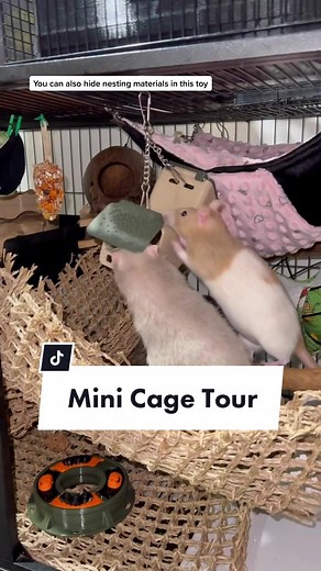 DIY Rat Cage Setup & Enrichment Ideas