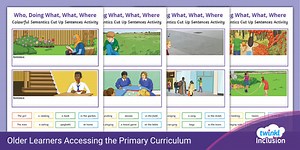 SEND Older Learners - Colourful Semantics