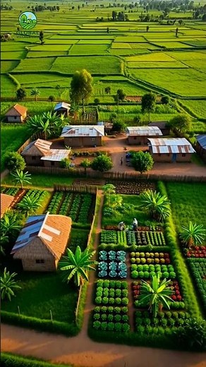 Simple Life in an Ethiopian Village | Peaceful Rural Living