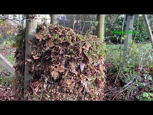 How to make compost from dead leaves?