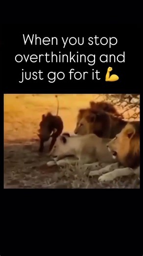 Here's how we're rolling into the week 💪