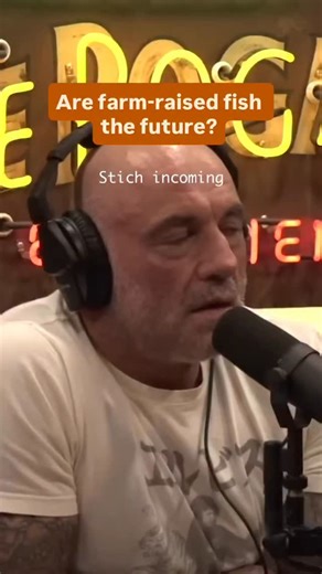 Could farm raised fish, done the right way, be an answer to avoiding heavy metals and forever chemicals? 💭 We live in a time where real food is something to have to seek out. Healthy seafood is not just a given anymore, freshwater or wild caught. Just because it is in the ocean does not mean it is clean! 🪸 You may not know about it, but there are clean, farm raised fish out there. Farmers who are committed to raising clean seafood that is free from all the chemical garbage collecting in our la