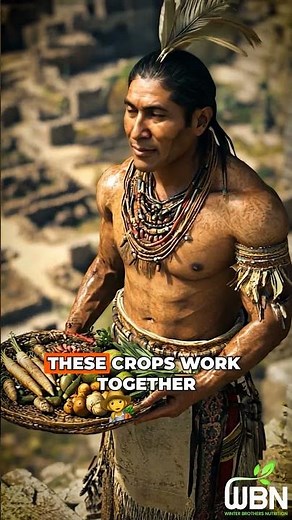 Mesoamerican Terracing Is The FUTURE Of Mountain Agriculture