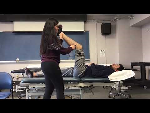 Distal Hamstring Length (Popliteal Angle Test)