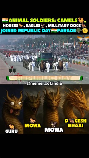 MEMER OF INDIA🇮🇳 on Instagram: "Doggesh bhai dominated all😎👌🏻aah swag chudu tammudu🫡🪖🥳 . . Republic Day 2026: Indian Army showcases four-legged warriors in a historic first. India witnessed a rare spectacle on its 77th Republic Day when a specially curated animal contingent of the Indian Army's Remount and Veterinary Corps (RVC) marched down Kartavya Path, underscoring the indispensable role animals play in defending the country's most demanding frontiers. It marked the first time such a