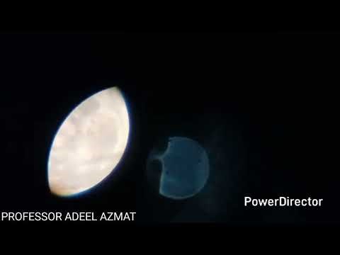 Testing Celestron Telescope