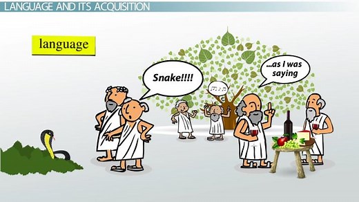 Chomsky's Theory of Language Acquisition | Stages & Examples